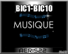 BIC1-BIC10