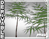 !Tree Bamboo Stylized