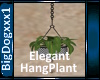 [BD]ElegantHangPlant