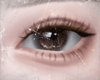 ✜Wearily Lash