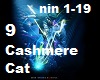 9  Cashmere Cat