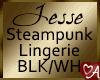 .a Steampunk Lingerie BW