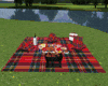 Picnic barbecue