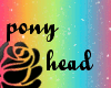 pony head *B*