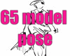 65 model pose