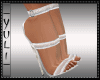  SHOES COLLECTION