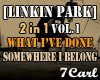 Linkin Park 2 in 1