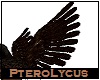 PteroLycus Wings