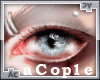 Ac| Silver Blue Cat