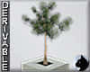 !Tree Planter