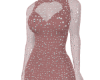 Venjii Sliver Rose Dress