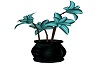 Teal Plant-4