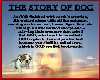 STORY OF DOG