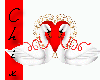 Swans of love