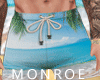 Monroe.Beach Shorts