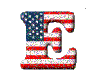 (1) American Flag "E"