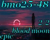 (shan)bmo25-48 pt2/2