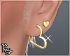Dual Hearts Earrings