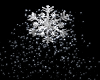 Ice Snowflake Snowfall 