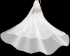 Wedding Train