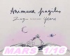 Animaux Fragiles1/16