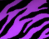 Purple Leopard Photo