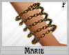 !!M Chain Braclet Gold