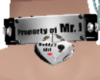 Mr J's property
