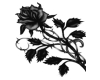 [ML] black rose