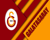 GS SPORTS FLAG