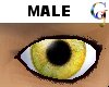 Amber Eyes Male