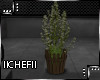 -Flower Pots-
