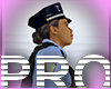 police walk NPC