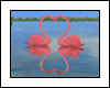 Casal Flamingos Romantic