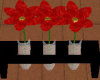 [ARG] Red Tube Flowers