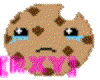 [RXY]choc chip cookie