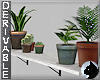 !HOME Potted Plants 6