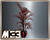[m33] nice Plants