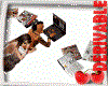 Notbook com Pose