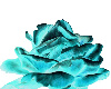 Turquoise Rose pic