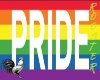 Pride Rainbow Banner