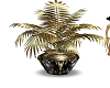 BLACK/GOLD PLANT