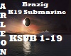 K19 Submarine Brazig