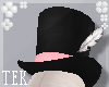 [T] Tophat