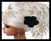 Sexy Hairstyle