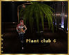 plant club6