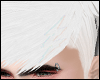 Carpincho white