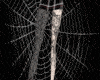 Spider Plaid RLL