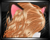 [AR] Calico Ears