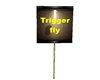 sign trigger fly